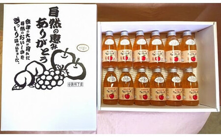 16-O りんごジュース200ml12本入り （品種違い組み合わせ）小瓶セット 相良農場 