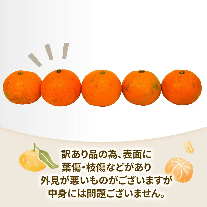 みかん 訳あり 小玉 温州みかん 早生 10kg 玉津柑橘倶楽部 訳あり B010-072030
