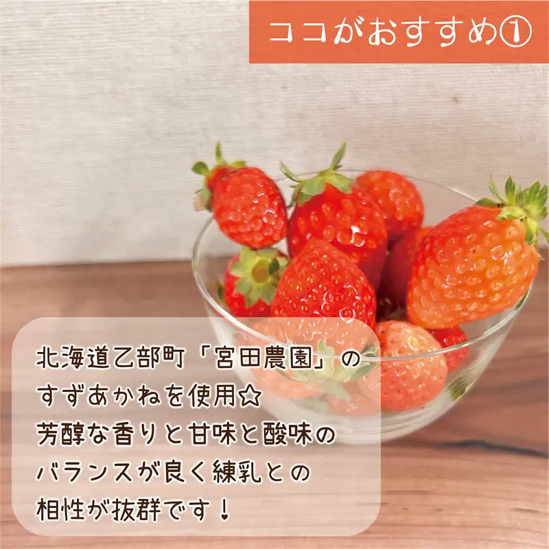 甘さスッキリ！イチゴ100％アイスにしちゃいました【けずりいちご：50g×6パック】＜ 乙部町 宮田農園 すずあかね イチゴ アイス デザート 贅沢 農家手作り 産地直送 贈答 ＞