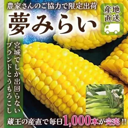 【蔵王の産直で毎日1000本完売】生でも甘い♪行列ができるトウモロコシ『夢みらい』5本 数量限定_野菜 とうもろこし  トウモロコシ_【配送不可地域：離島】【1500613】