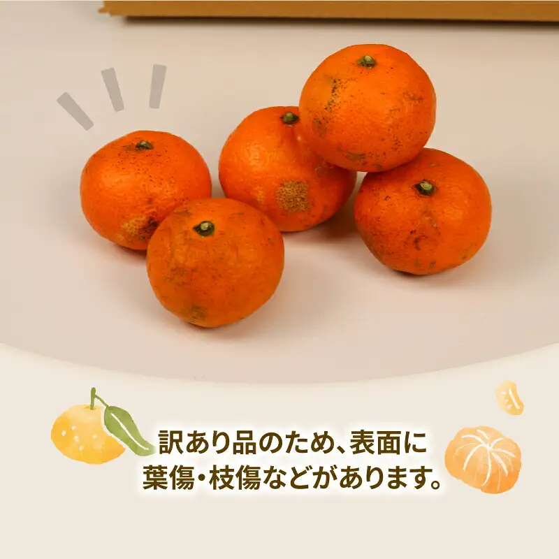 蜜柑 訳あり 小玉 温州みかん 南柑20号 10kg 玉津柑橘倶楽部 温州 みかん 小玉みかん 中生 甘い 果物 くだもの フルーツ 柑橘 mikan 愛媛蜜柑 愛媛みかん 愛媛ミカン ミカン わけあり サイズ 不揃い 産地直送 数量限定 国産 愛媛 宇和島 B010-072031