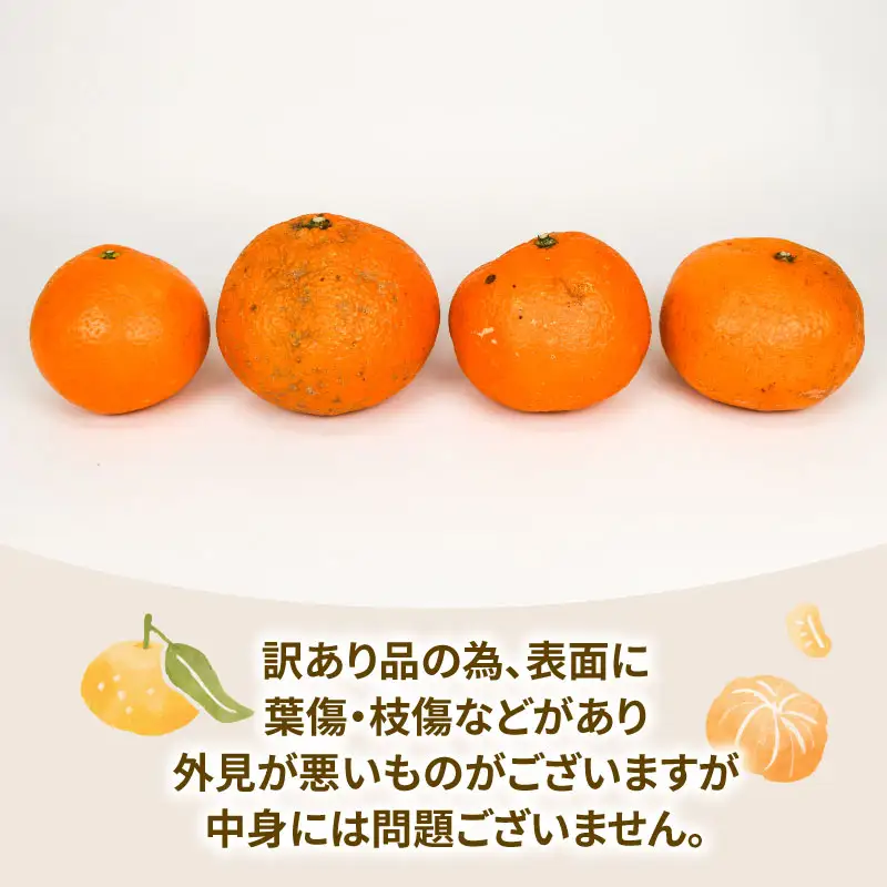 訳あり いよかん 8kg みかん 玉津柑橘倶楽部 先行予約 みかん B010-072032
