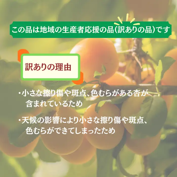 【2027年先行予約】訳あり あんず おまかせ加工用 計約4kg(約500g×8パック) | あんず