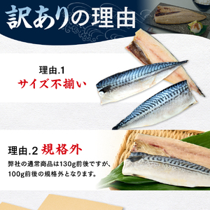 訳あり 塩サバ 約5kg 冷凍 規格外 サバサバサバサバサバさば鯖鯖
