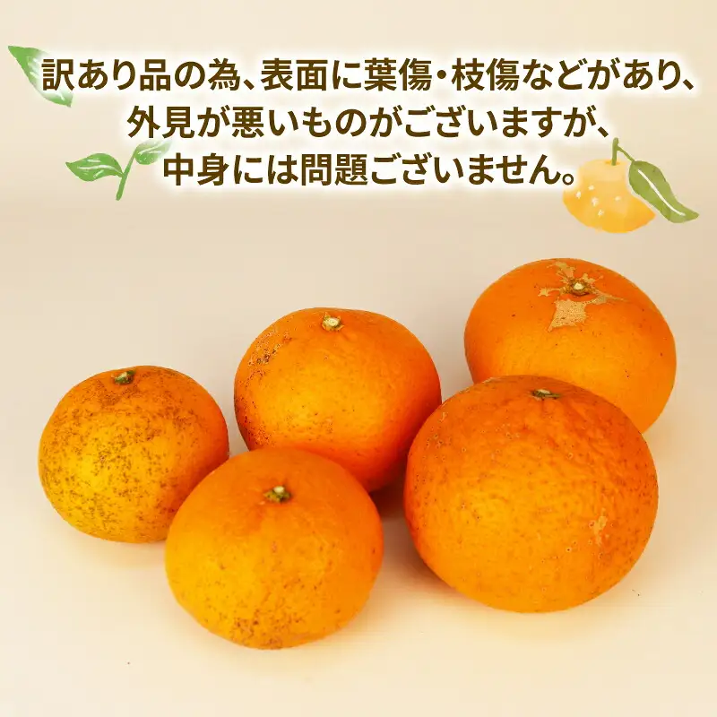 訳あり きよみ 8kg 玉津柑橘倶楽部 きよみ B010-072033
