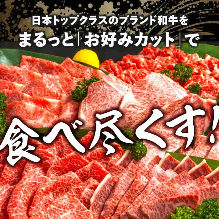 【一頭丸ごとオーダー！】 A5 佐賀牛 一頭食べ尽くしセット 黒毛和牛 オーダーカット 吉野ヶ里町/株式会社MEAT PLUS[FDB066]