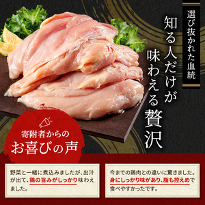 3ヶ月 定期便 地鶏 丹波 黒どり ムネ 2kg 鶏肉 冷凍 丹波山本 高タンパク低カロリー たんぱく質 ボリューム 筋トレ チキン 蒸し鶏 