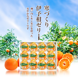 NO.18寒づくり伊予柑詰合せ 