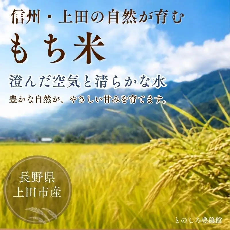 もち米 5kg (1kg×5個) 農家 自慢のお米 米 お米 餅米 白米 精米 こめ おこめ コメ おにぎり お餅 餅 モチ 和菓子 信州 長野 長野県 上田市