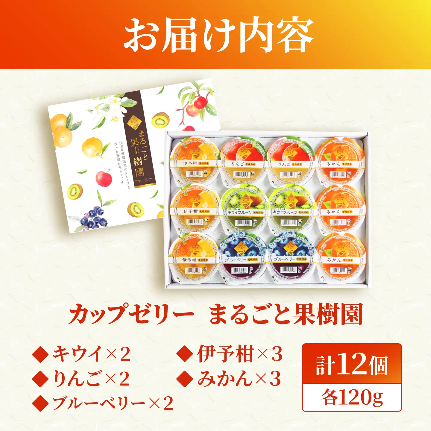 ゼリー カップゼリーまるごと果樹園詰め合わせ 5種12個セット( 伊予柑 みかん りんご キウイフルーツ ブルーベリー )/ 柑橘 ゼリー 果肉 果実 果汁 果物 フルーツ 国産 愛媛県産 スイーツ おやつ ギフト お中元 / 愛媛県砥部町/えひめ中央農業協同組合[BJCG010]
