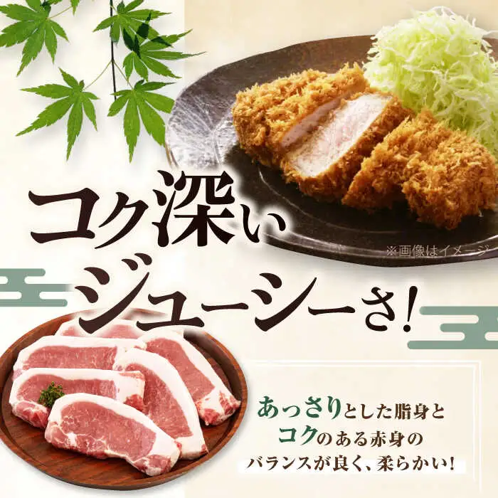 【全2回定期便】平田牧場 ロース ステーキ 600g  (100g×6枚) ※藻塩付 豚肉 とんかつ 生姜焼き[AJAP022]