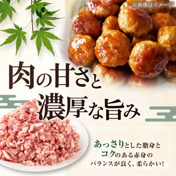 【全6回定期便】平田牧場 4種 セット 豚肉 詰め合わせ セット[AJAP052]