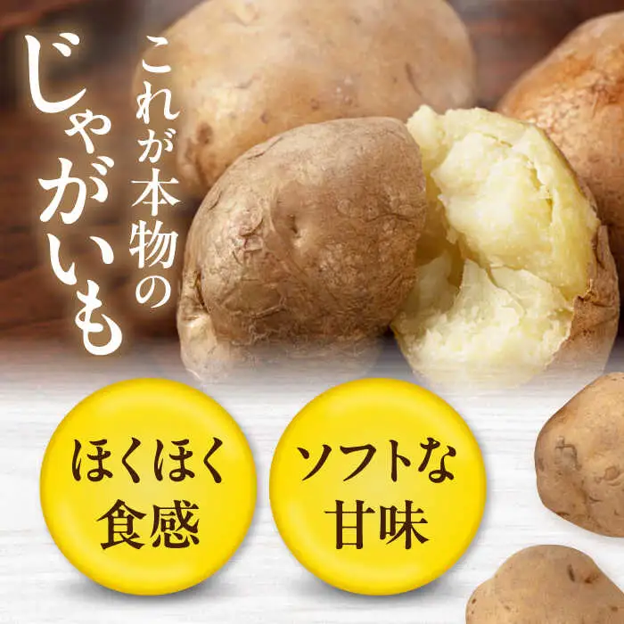 【全3回定期便】【10月〜12月発送】キタアカリ 20kg [AJAK020] じゃがいも 