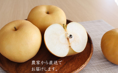 KW06 梨 南水 贈答 約5kg（8～14玉） 長野県松川町産／9月下旬頃～順次発送予定//南信州産 長野県 和梨 なし ナシ 約5㎏ 南水 農家直送 農家支援