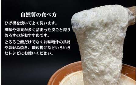 【定期便3ヵ月】那須町産 自然薯（カット）600g～650g | とろろ 贈り物 お土産 グルメ 美味しい おいしい 食べ物 那須 栃木県 那須町〔P-213〕 ※2026年12月～発送