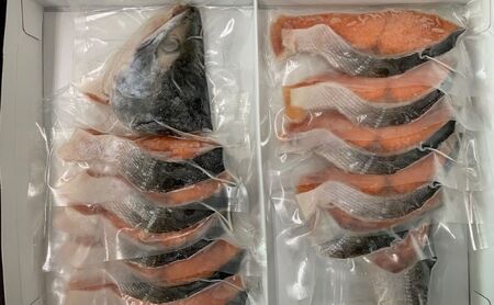北海道 厚岸産 時鮭 姿切身 甘塩仕立て 半身 750g 個包装 鮭 切り身 