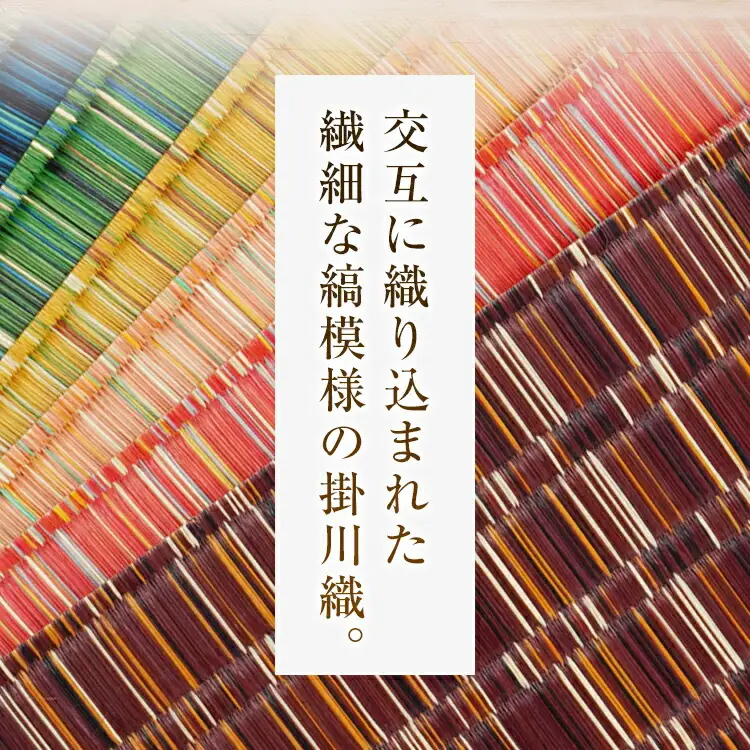 純国産天然いぐさ 「掛川織」 フリーマット 大 （緑色） 純国産 いぐさ い草 天然 自家生産 掛川 ラグ BG025