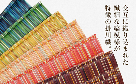 純国産天然いぐさ 「掛川織」 フリーマット 小 （茶色） 純国産 いぐさ い草 天然 自家生産 掛川 ラグ BG034