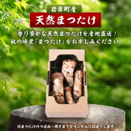 【2026秋発送】【訳あり】ご家庭用 岩泉まつたけ 直送 300g_野菜 松茸 きのこ まつたけ マツタケ_【配送不可地域：離島】【1423400】