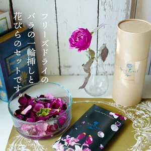 SL0210　水のいらない花　ゼロフラワー「バラ一輪挿し＆花びらセット」