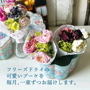 SL0230　【12回定期便】水のいらない花　ゼロフラワー定期便「Bouquet12」