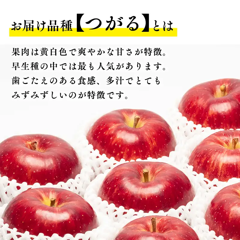 りんご つがる 約3kg 青森県平川市産[hi-0003-030]