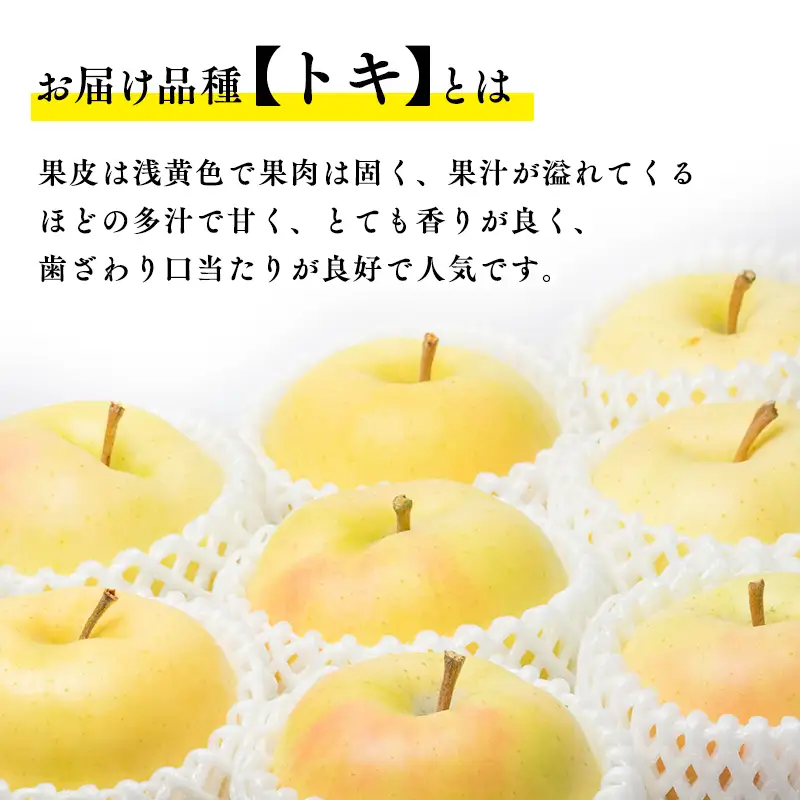 りんご トキ 約5kg 青森県平川市産 りんご