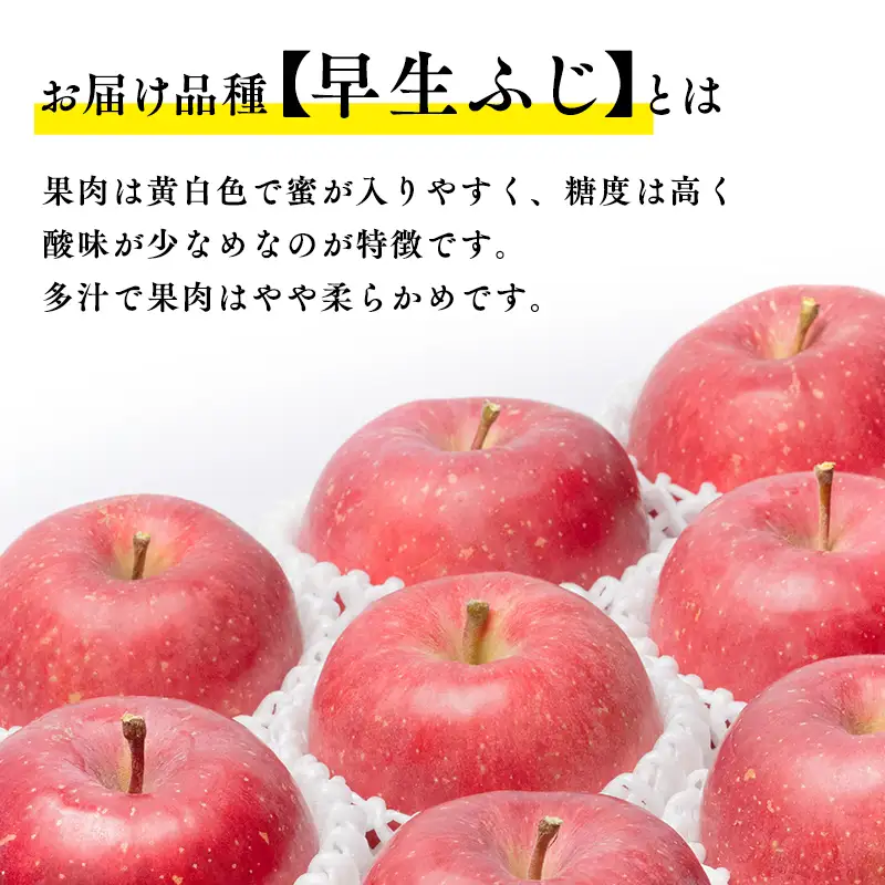 りんご 早生ふじ 約3kg 青森県平川市産[hi-0003-029]