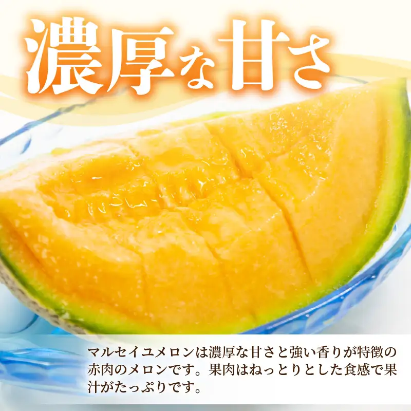 マルセイユメロン 2玉 (1玉 約1.2kg前後) 2027年6月中旬以降順次発送 めろん フルーツ [A-19008]