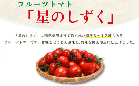 フルーツトマト 500g 星のしずく フルーツトマト