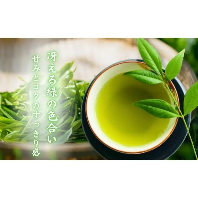 お茶 いしだ茶屋 さえみどり 100g 5袋 お茶