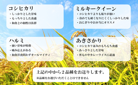 米 特別栽培米 食べ比べ セット 10kg (5kg×2袋) コシヒカリ ミルキークイーン ハルミ あきさかり 令和5年産 お米 精米 ライス おにぎり 徳島県 阿波市