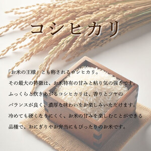 コシヒカリ 10kg 令和8年産 米 【 お米 】