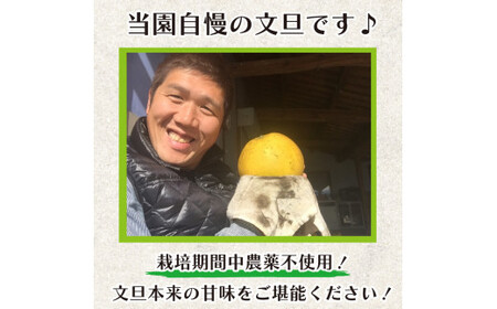 訳あり 文旦 柑橘 ブンタン 4kg 家庭用 数量限定 蜜柑 みかん 果物 フルーツ 阿波市 徳島県