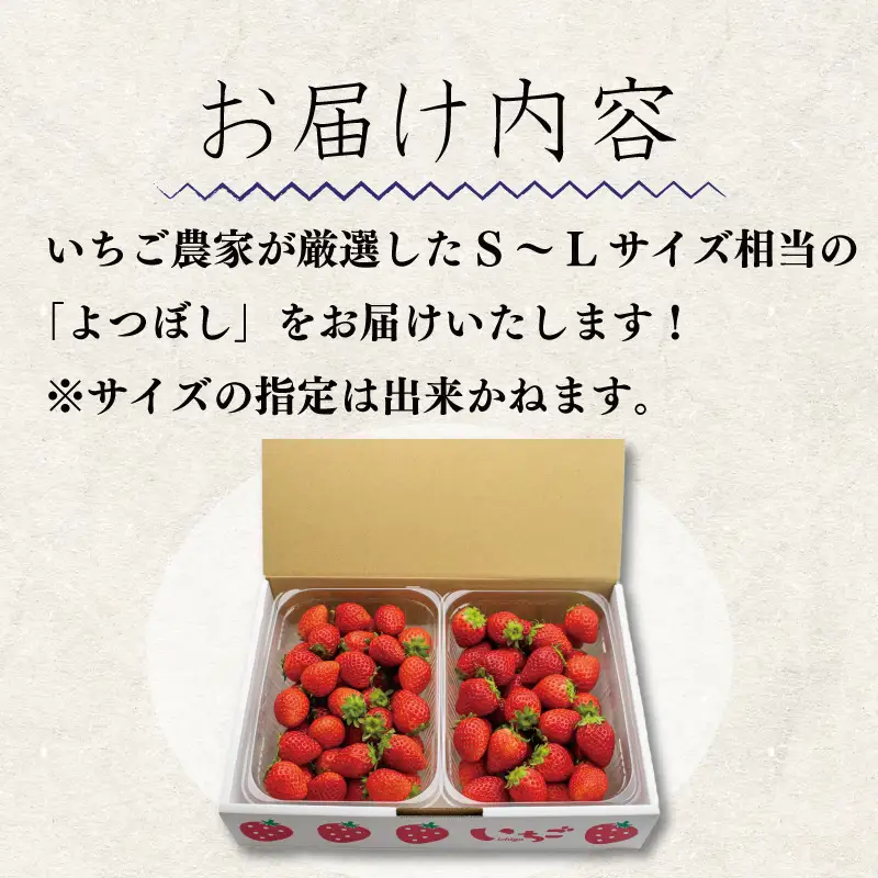いちご よつぼし 850g 訳あり 苺 【 いちご 】