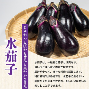茄子 水茄子 約1.5kg