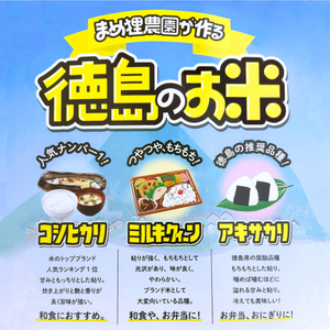 食べ比べ  令和5年 こしひかり ミルキークイーン あきさかり 各5kg 計15kg 精米 徳島県 阿波市