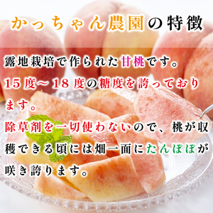 桃 もも 甘桃 15～18個 《6月下旬～発送》 果物 フルーツ 朝採れ 糖度 15 以上 徳島県 阿波市  先行予約