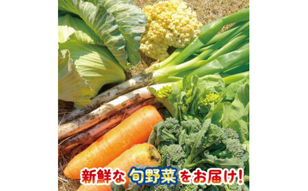 季節の野菜 詰合せセット 5～6品目 野菜 野菜 野菜 野菜 野菜
