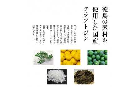 クラフトジン 飲み比べ AWA GIN  2本 セット ジン 【共通返礼品】