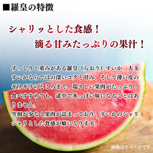 スイカ 羅皇 2玉 西瓜 夏 果物 フルーツ 高糖度 阿波市 徳島県産 フルーツ デザート 夏 プレゼント  先行予約