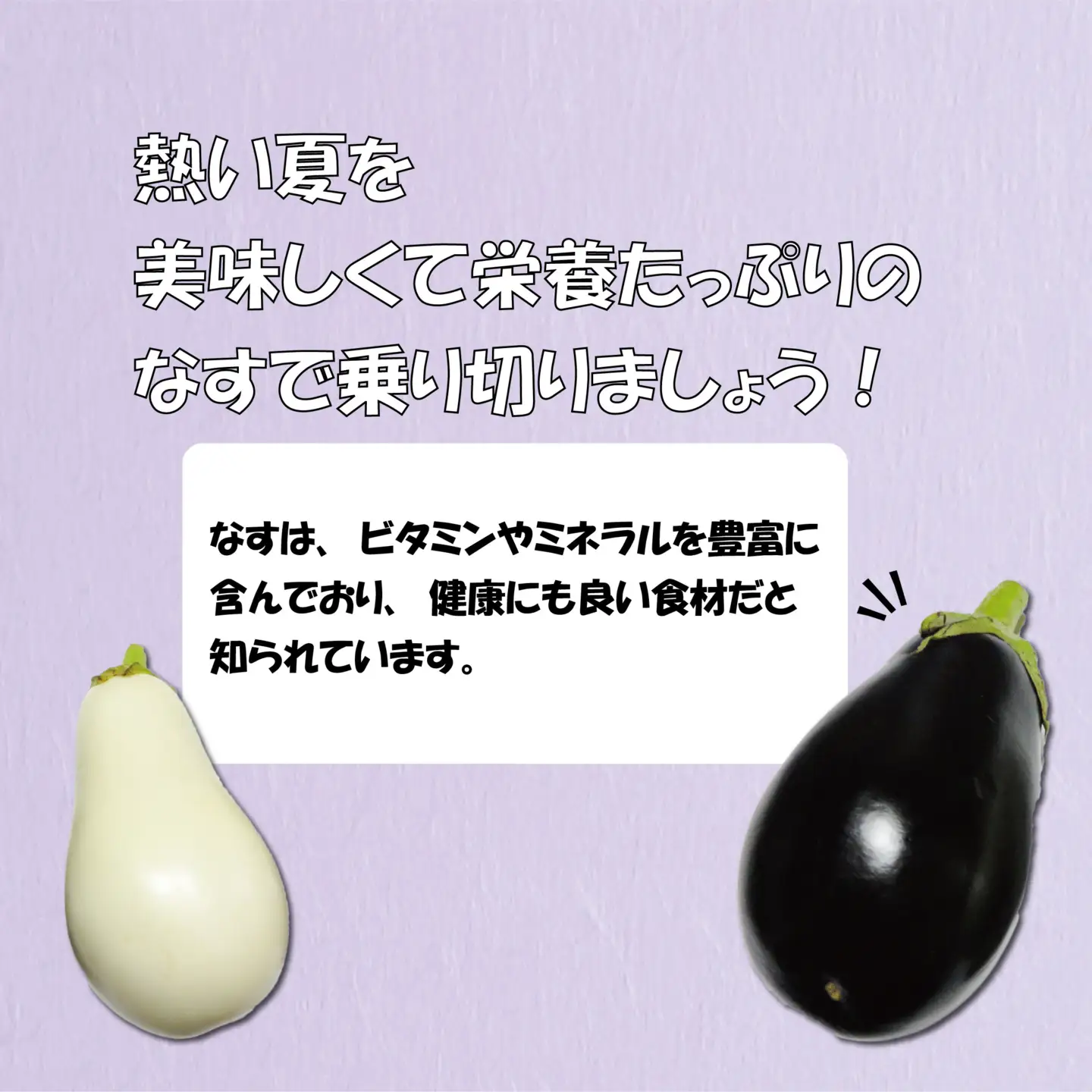 なす 千両なす 白なす 2色 セット 約2kg