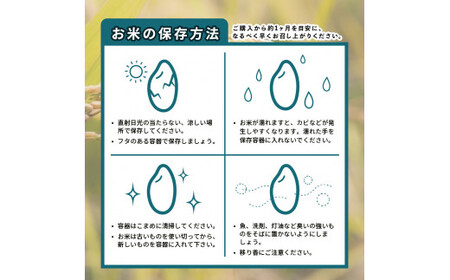 コシヒカリ 5kg 定期便 3回 令和8年産 米 こめ