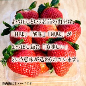 【先行予約】いちご よつぼし 約270g×4パック 約1kg以上 果物 フルーツ 土耕栽培 甘い 徳島県 阿波市 岩本いちご園