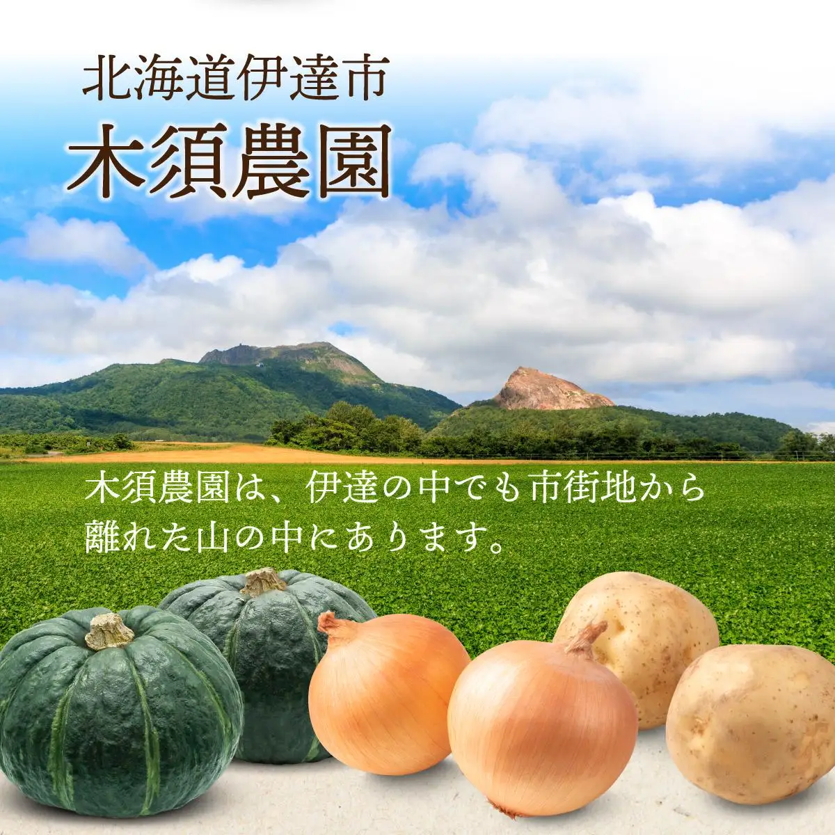 【 2026年 発送 】 先行予約 北海道 じゃがいも 玉ねぎ 各5kg(計10kg) M-L混合 北あかり【55251003】