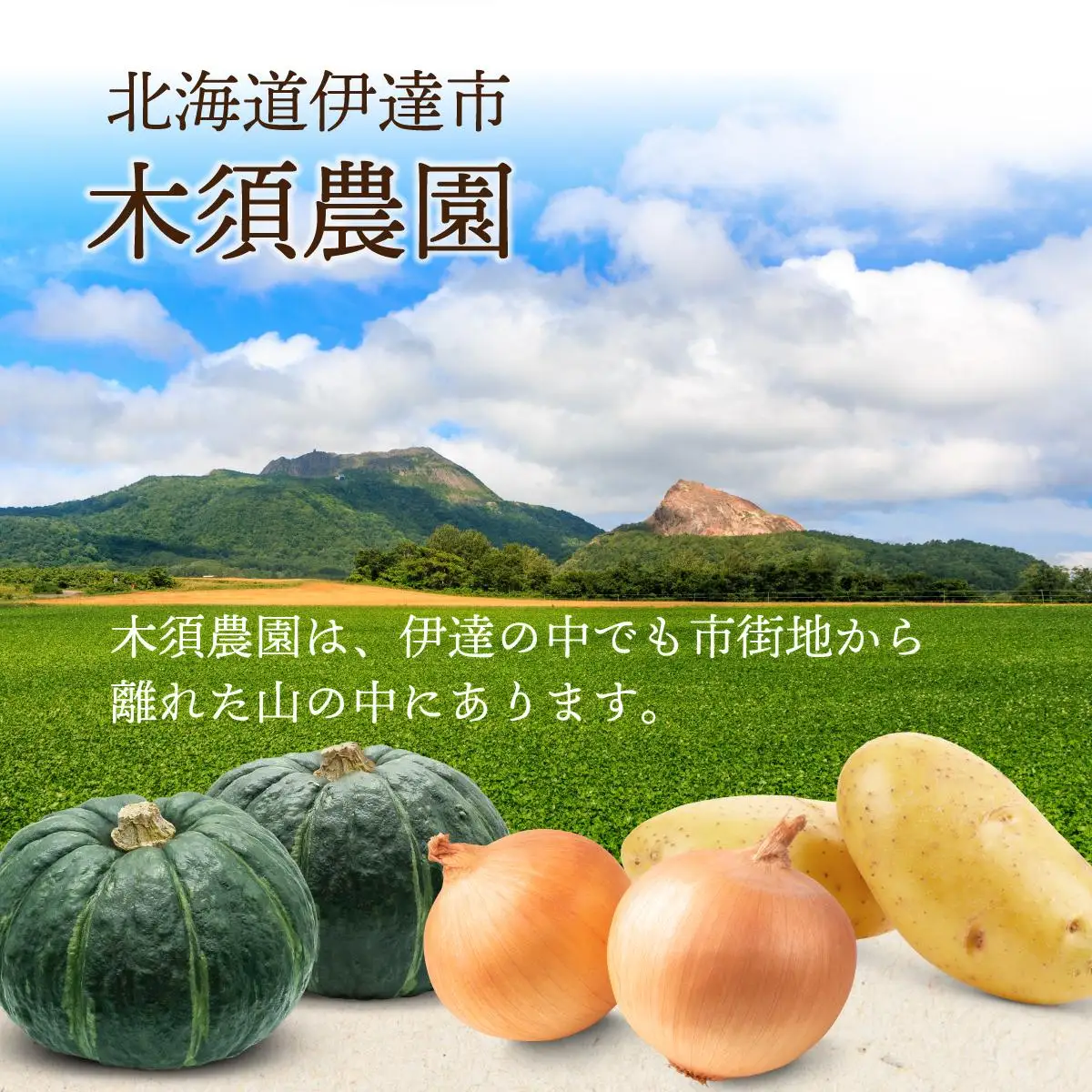 【 2026年 発送 】先行予約 北海道 じゃがいも 玉ねぎ 各5kg(計10kg) M-L混合 メークイン【55251004】