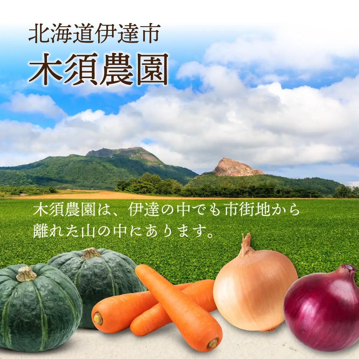 【 2026年 発送 】 先行予約 北海道 玉ねぎ 各2.5kg (計約5kg) M-L混合 北はやて アーリーレッド【55251005】