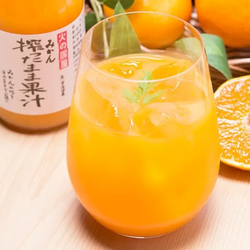 みかんジュース 火の國屋 搾ったまま 無添加 みかんジュース【2本】