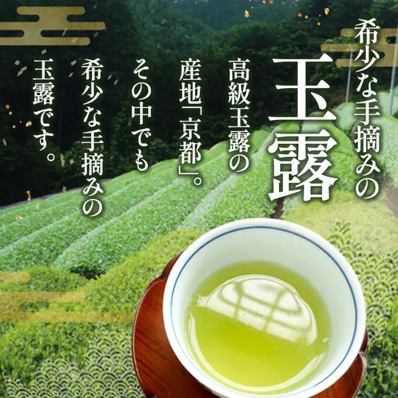 玉露 宇治玉露 手摘み 京都 玉露【100g】