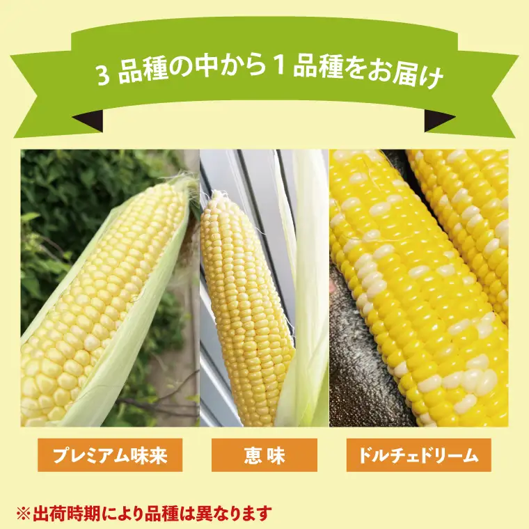 【6月下旬より発送 】数量限定 とうもろこし 12～14本 恵味 ドルチェドリーム プレミアム味来 （GR-4）